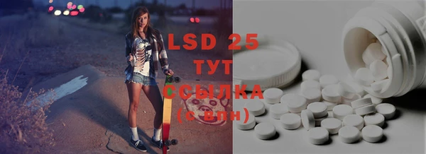 PSILOCYBIN Алзамай