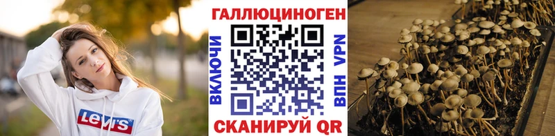 Псилоцибиновые грибы Magic Shrooms  кракен ссылки  Боровск 